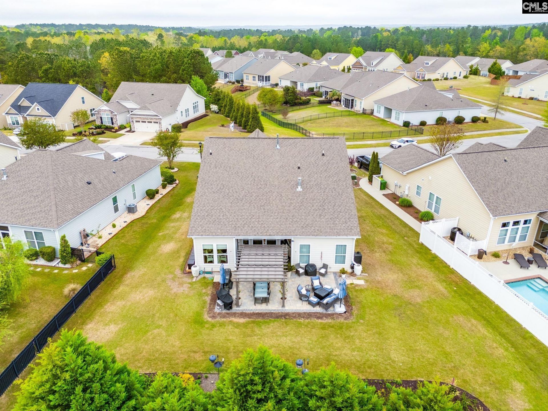 717 Carolina Aster  Photo 37