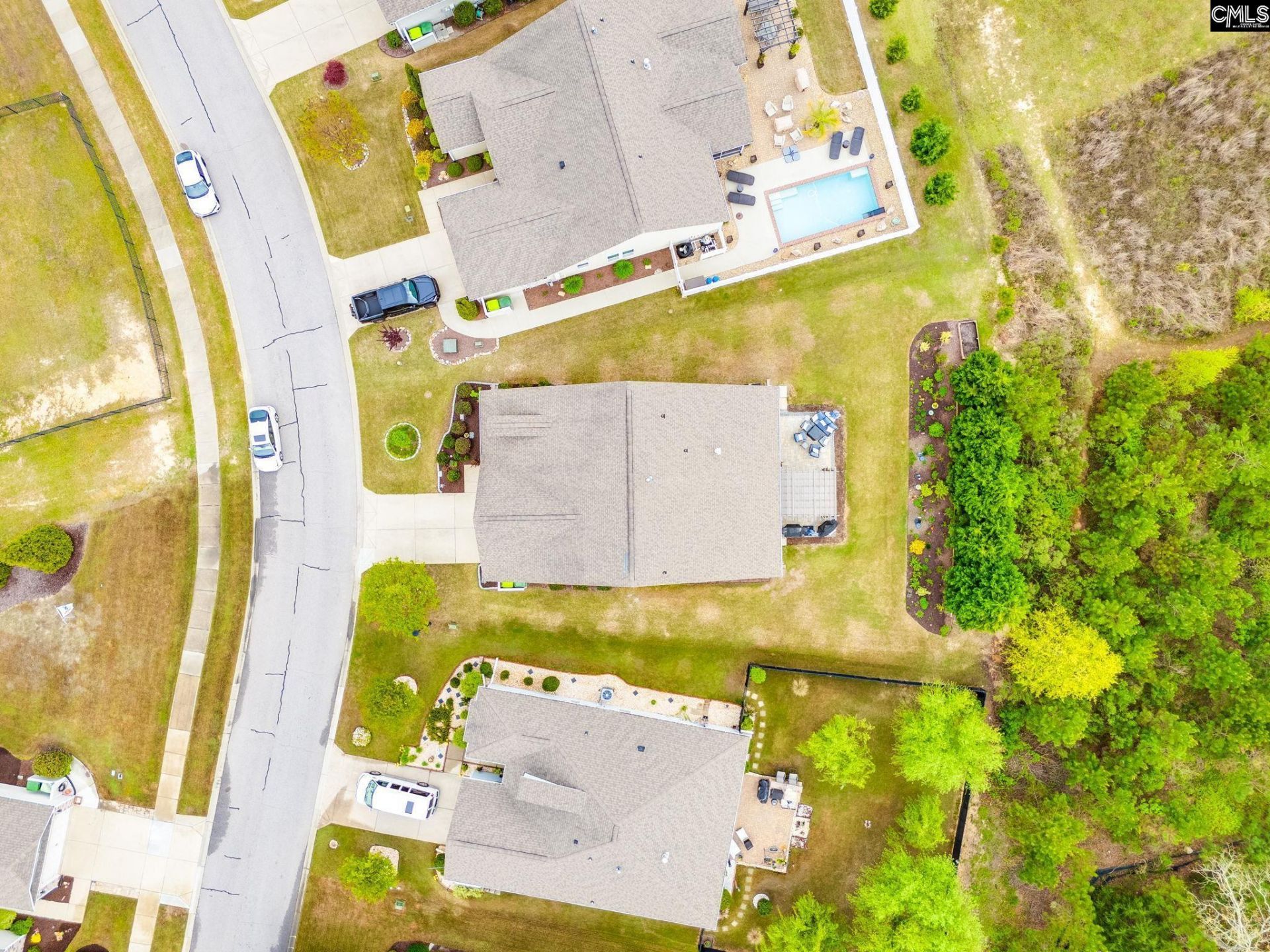 717 Carolina Aster  Photo 38