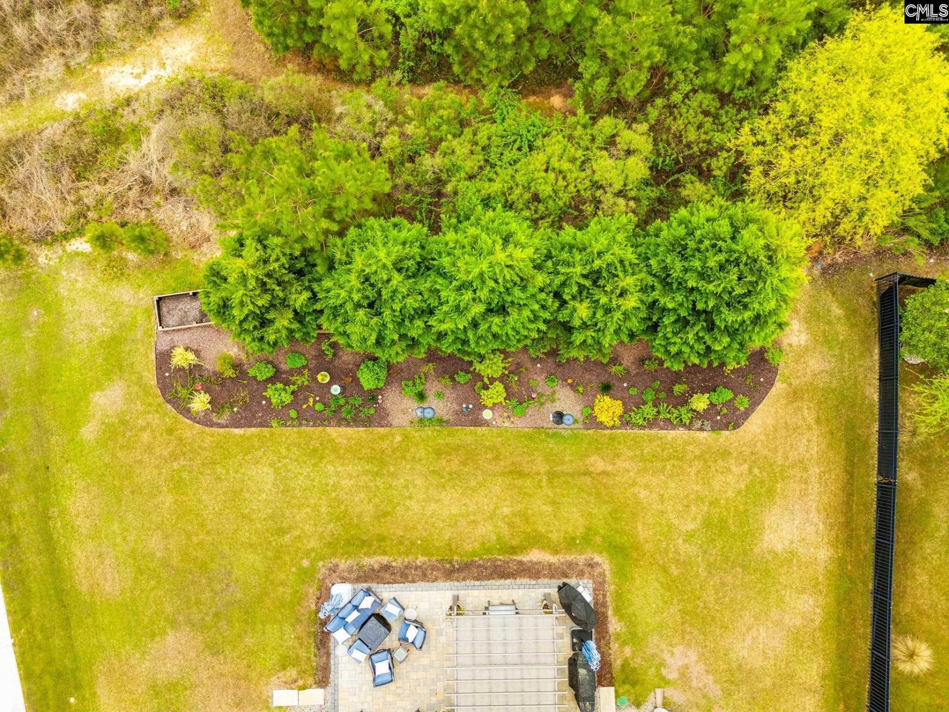 717 Carolina Aster  Photo 39