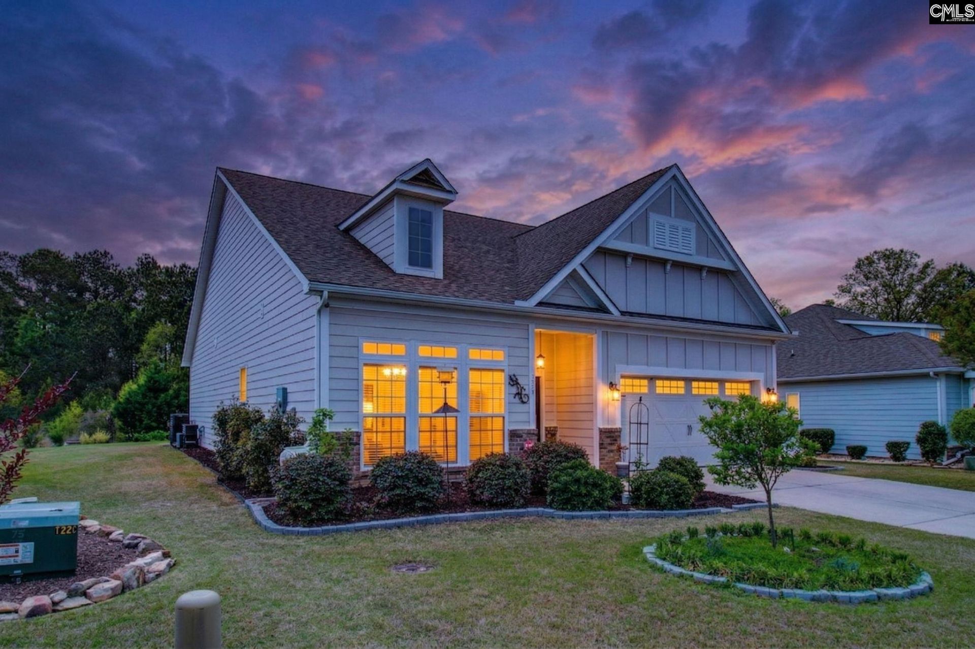 717 Carolina Aster  Photo 4