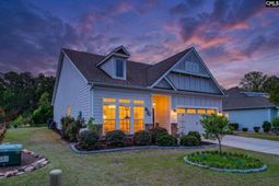 717 Carolina Aster  photo 4