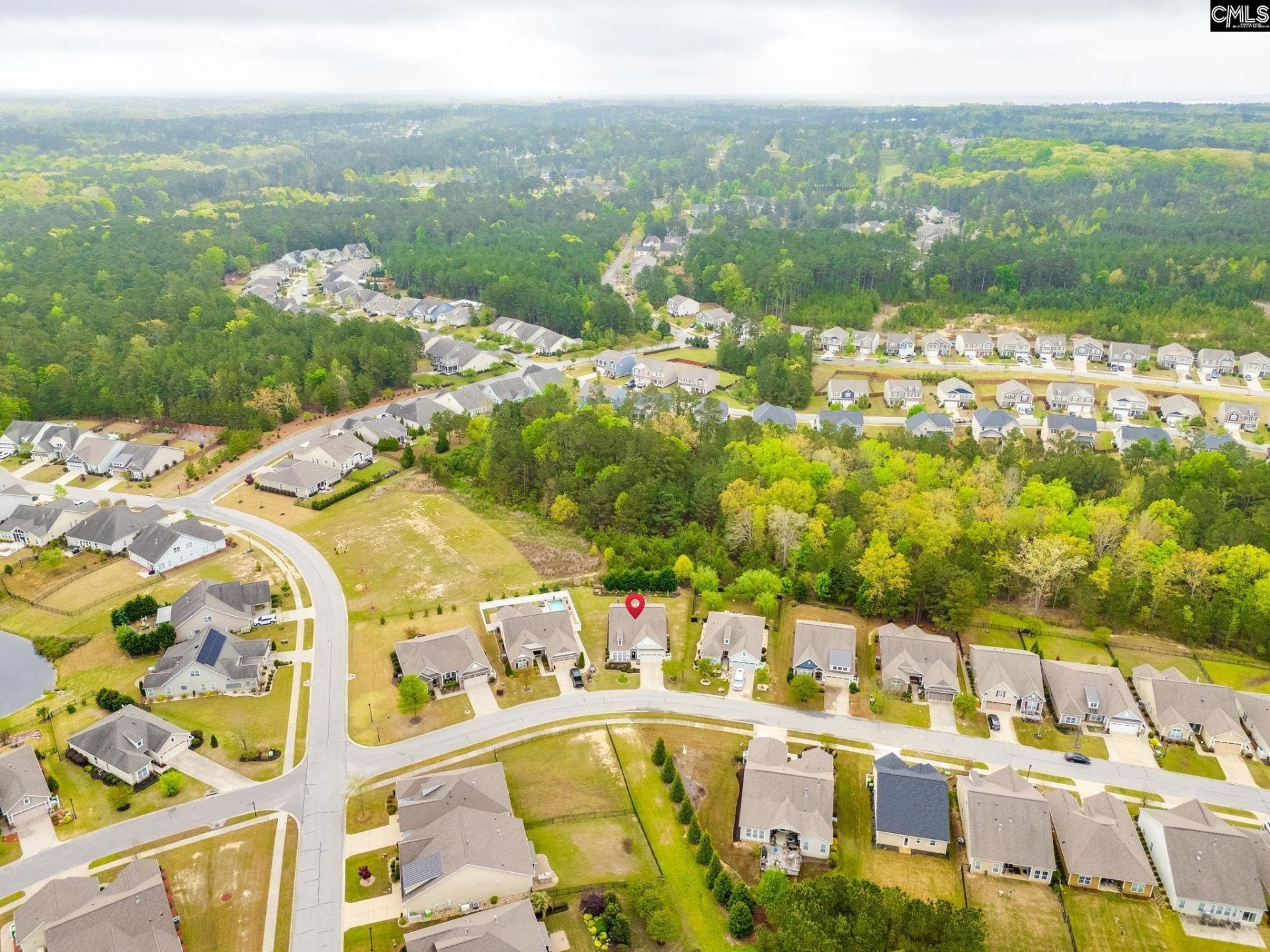 717 Carolina Aster  Photo 40