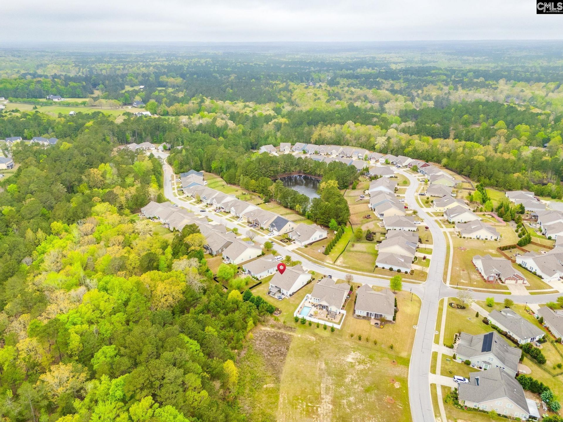 717 Carolina Aster  Photo 41