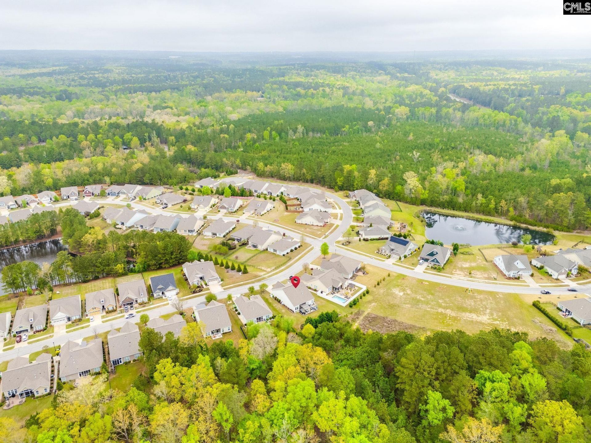 717 Carolina Aster  Photo 42