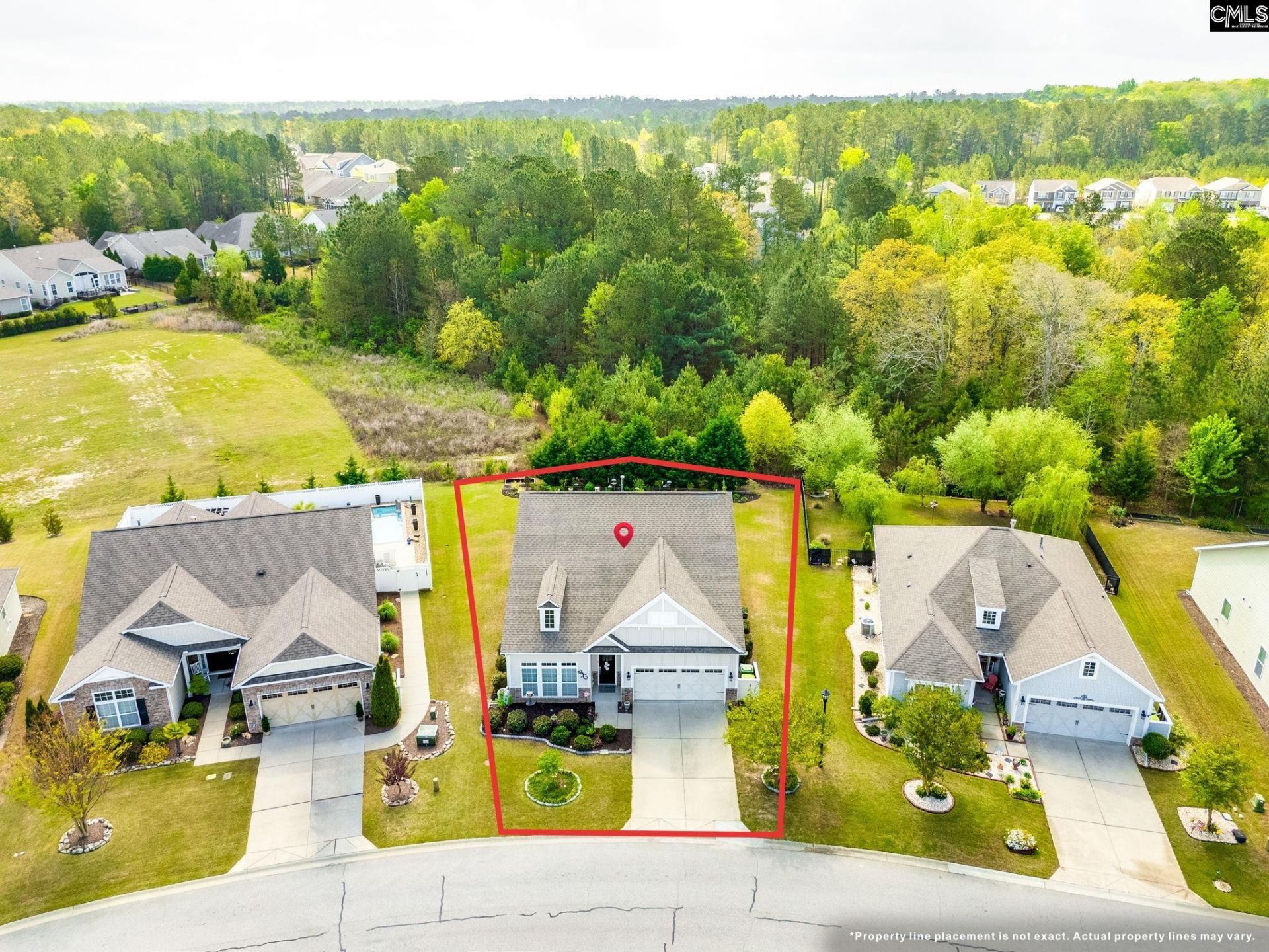 717 Carolina Aster  Photo 43