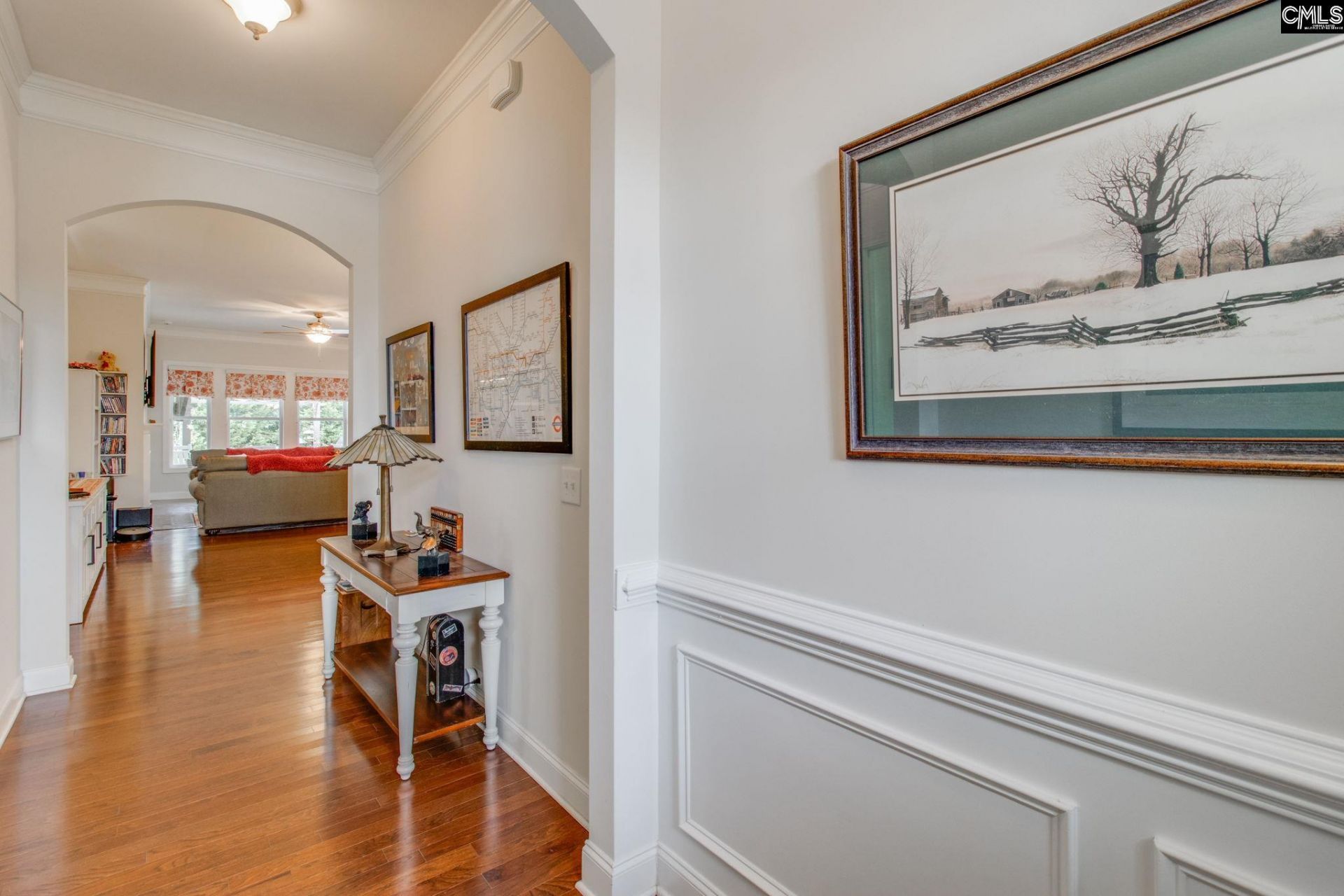 717 Carolina Aster  Photo 5