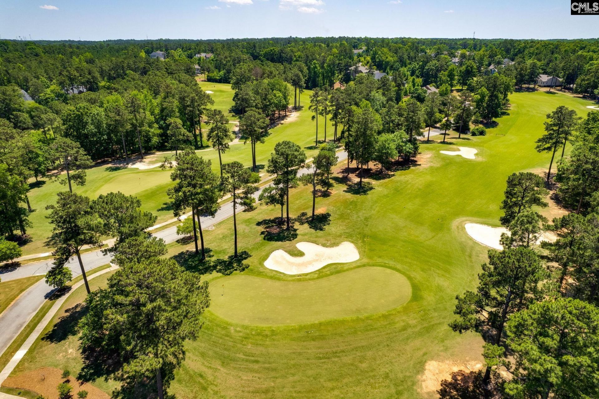 717 Carolina Aster  Photo 55