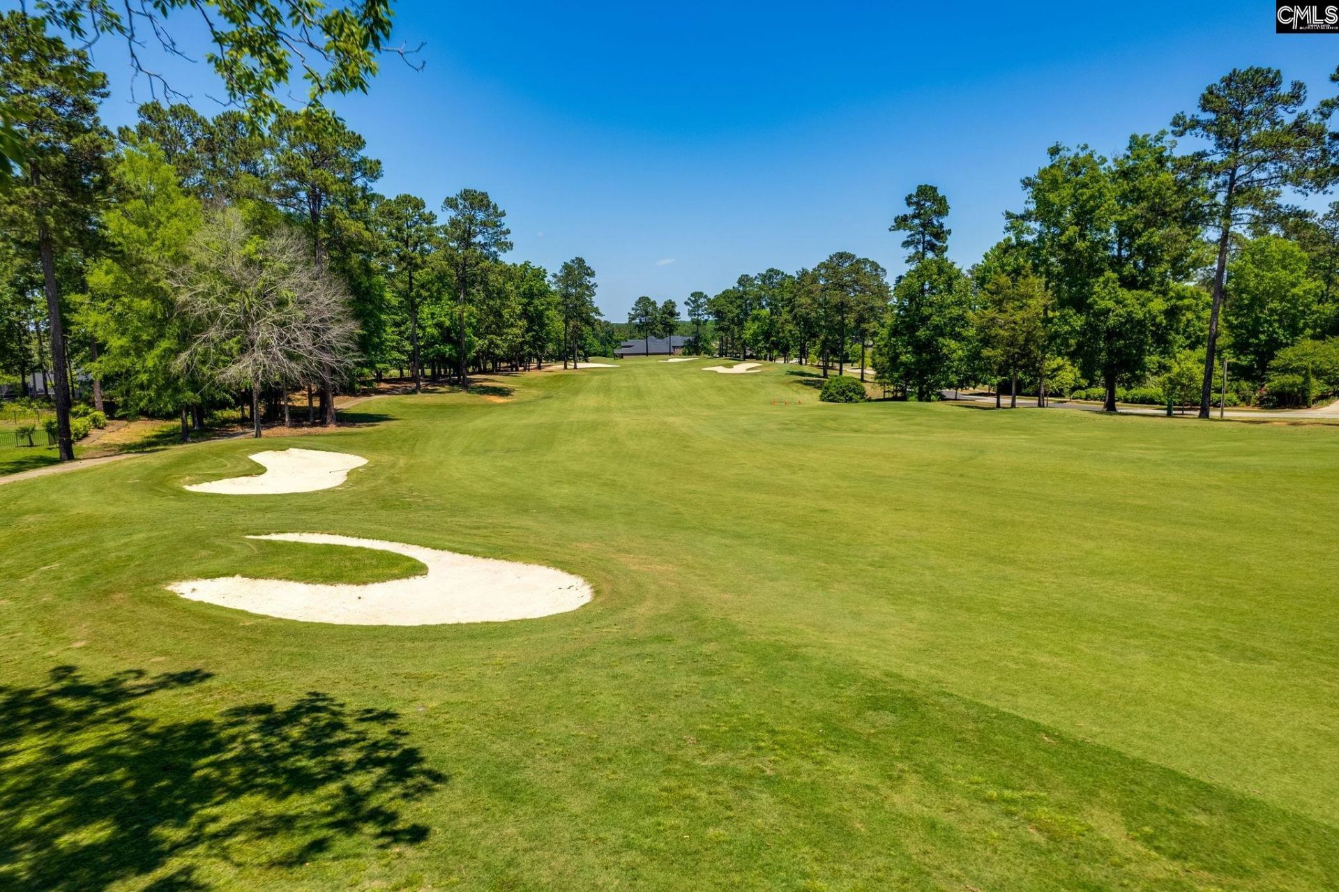 717 Carolina Aster  Photo 56