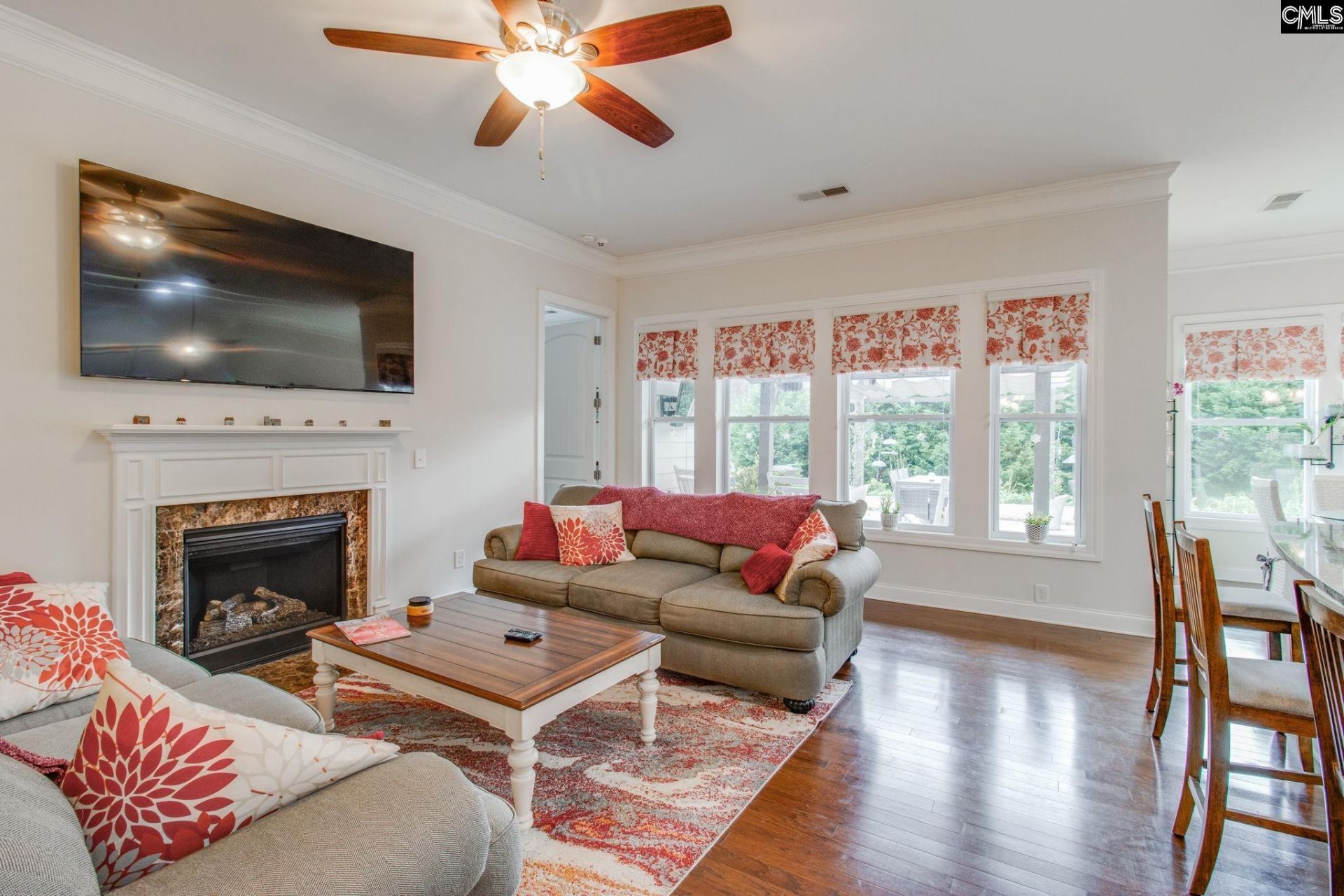 717 Carolina Aster  Photo 8