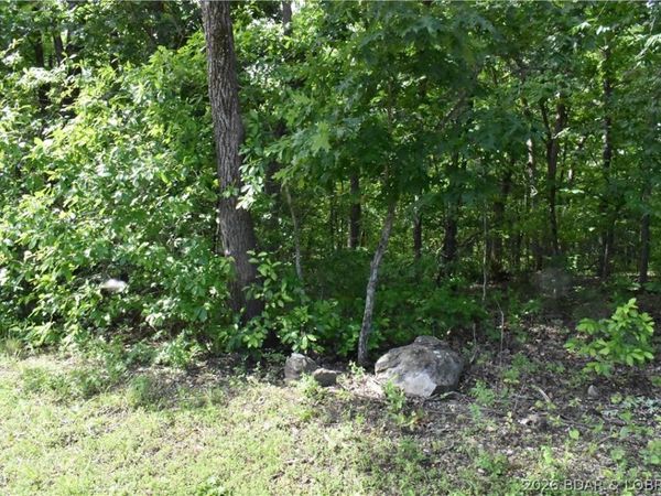 Lot 100 Horseshoe Bend Pkwy, Lake Ozark, MO 65049