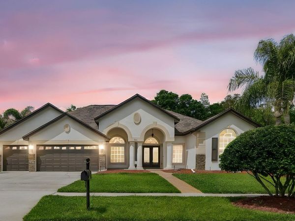 2731 BLUE SPRINGS PLACE , WESLEY CHAPEL, FL 33544