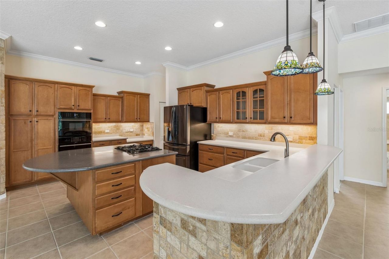 2731 Blue Springs Place, Wesley Chapel, FL 33544 Photo