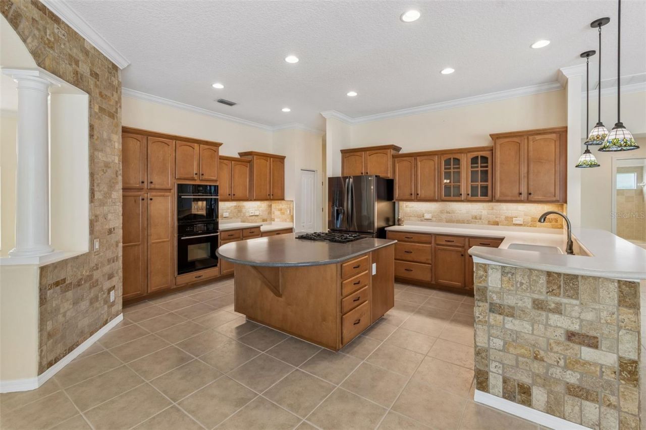 2731 Blue Springs Place, Wesley Chapel, FL 33544 Photo