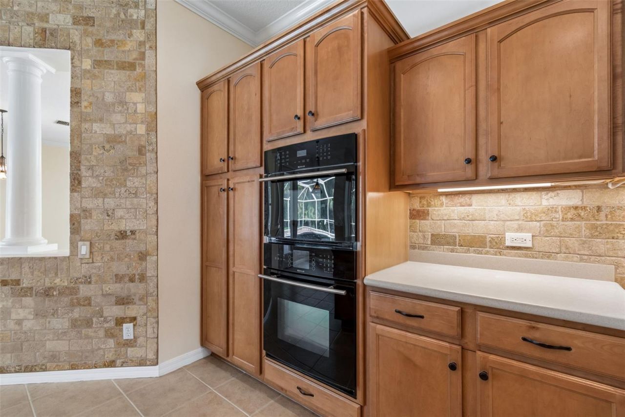 2731 Blue Springs Place, Wesley Chapel, FL 33544 Photo