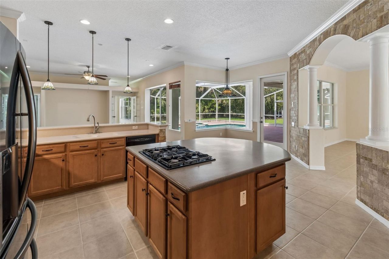 2731 Blue Springs Place, Wesley Chapel, FL 33544 Photo