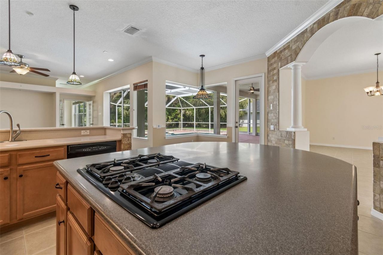 2731 Blue Springs Place, Wesley Chapel, FL 33544 Photo