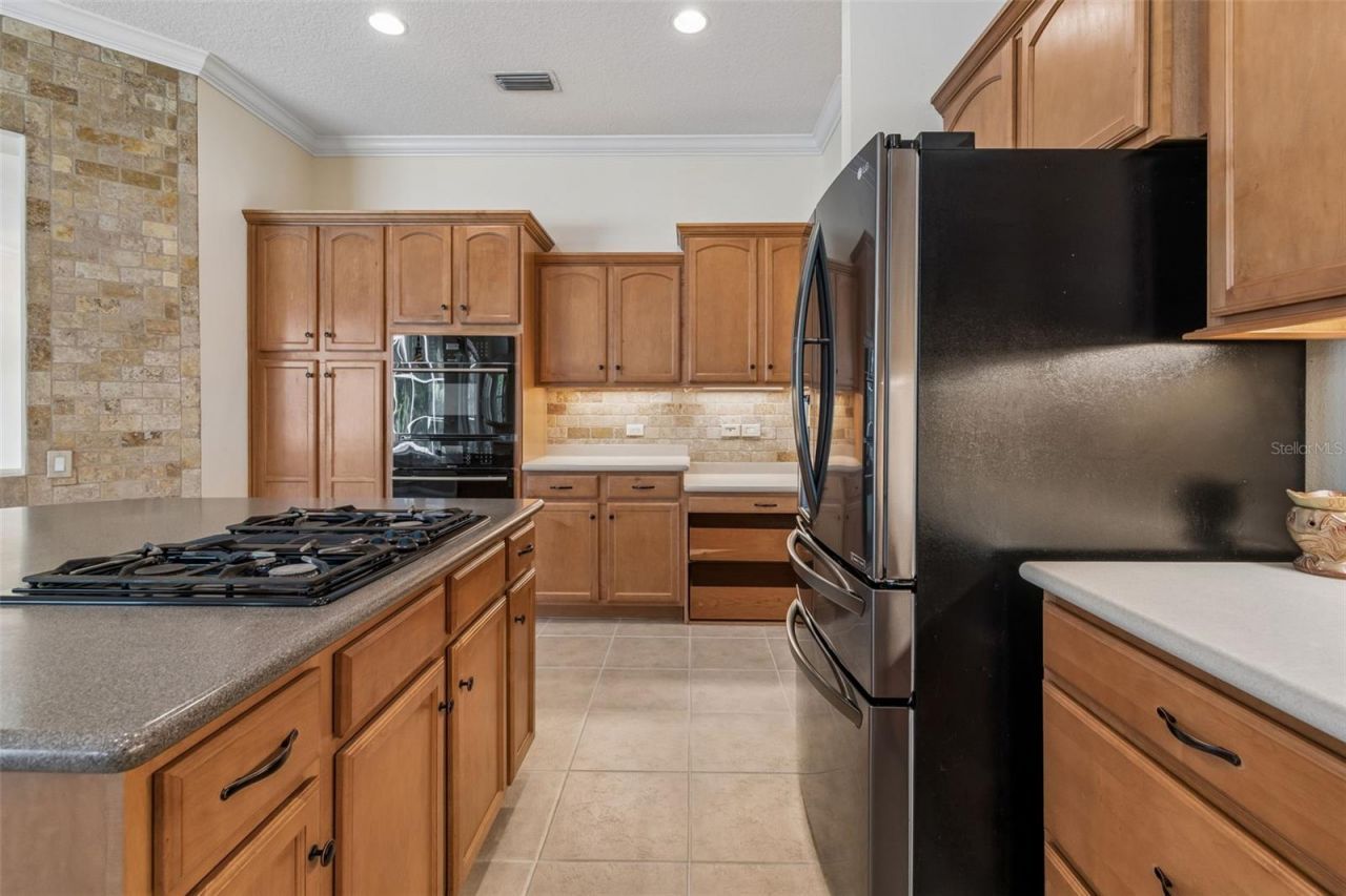 2731 Blue Springs Place, Wesley Chapel, FL 33544 Photo