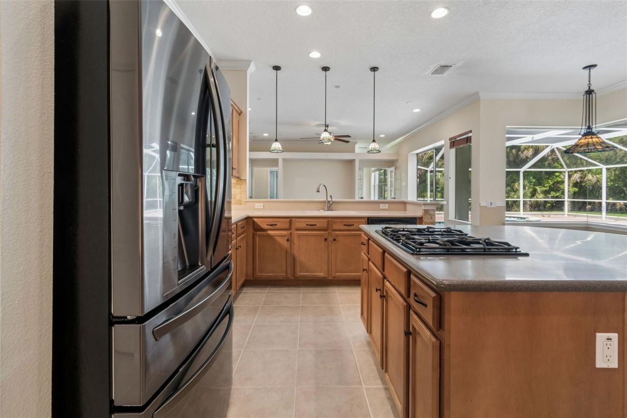 2731 Blue Springs Place, Wesley Chapel, FL 33544 Photo