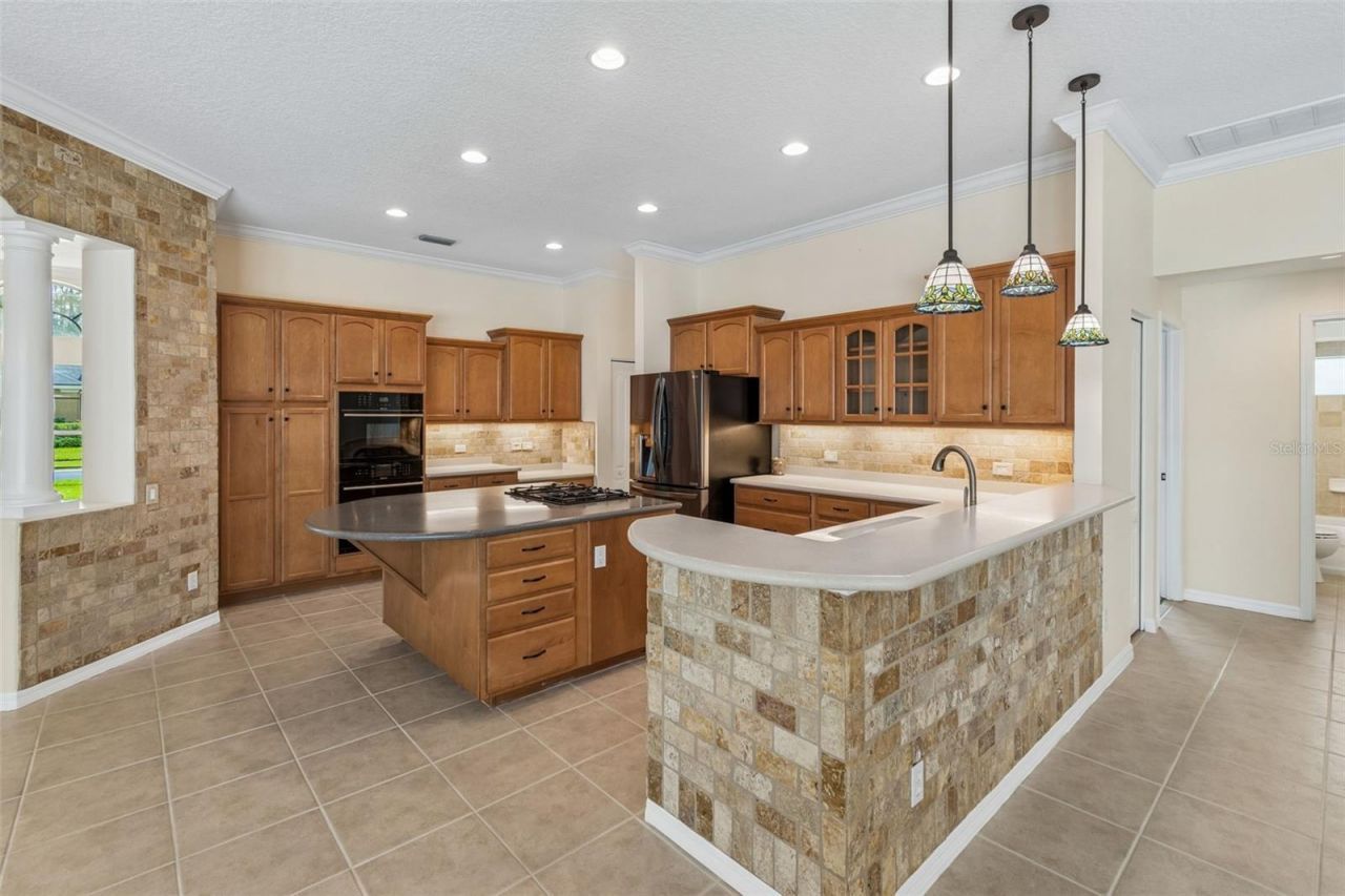 2731 Blue Springs Place, Wesley Chapel, FL 33544 Photo