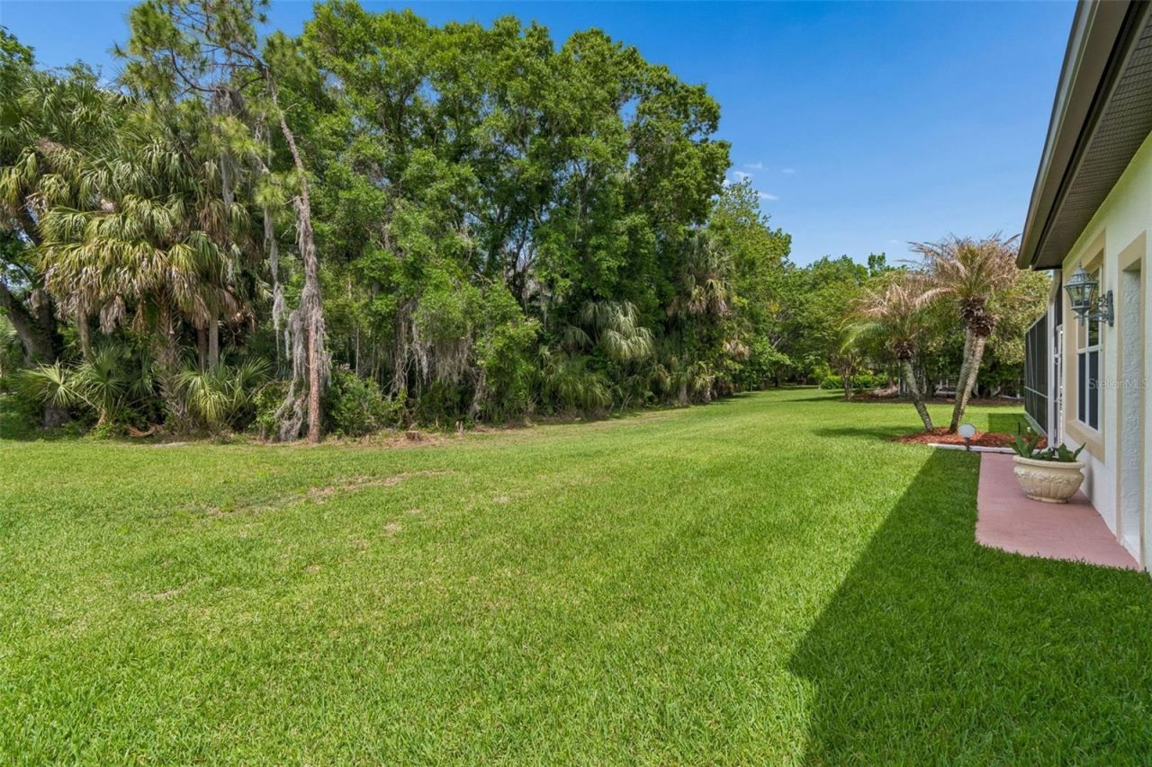 2731 Blue Springs Place, Wesley Chapel, FL 33544 Photo