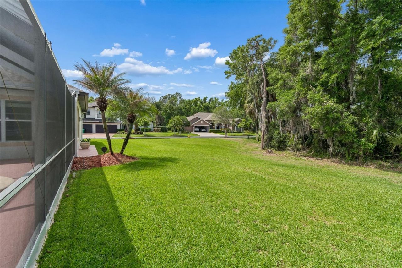 2731 Blue Springs Place, Wesley Chapel, FL 33544 Photo