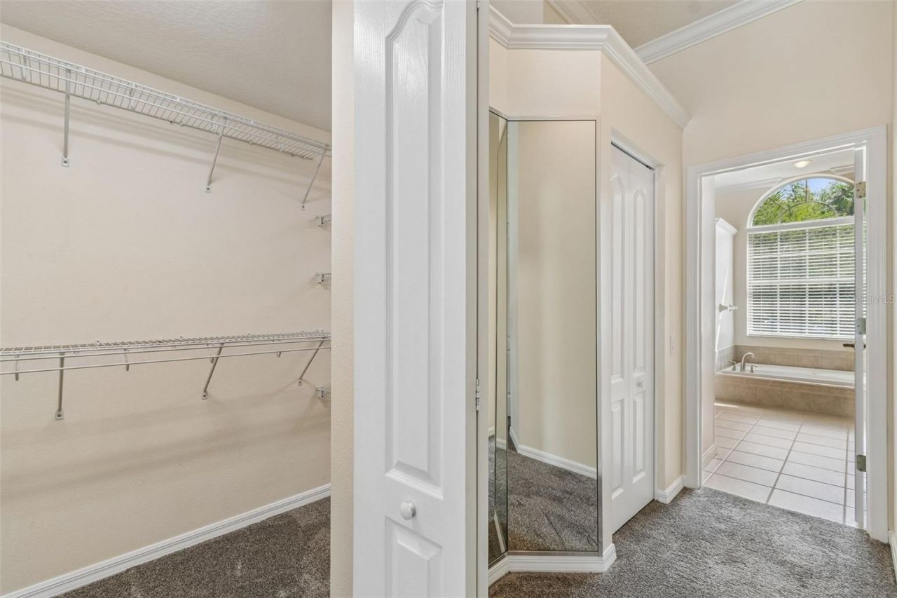 2731 Blue Springs Place, Wesley Chapel, FL 33544 Photo