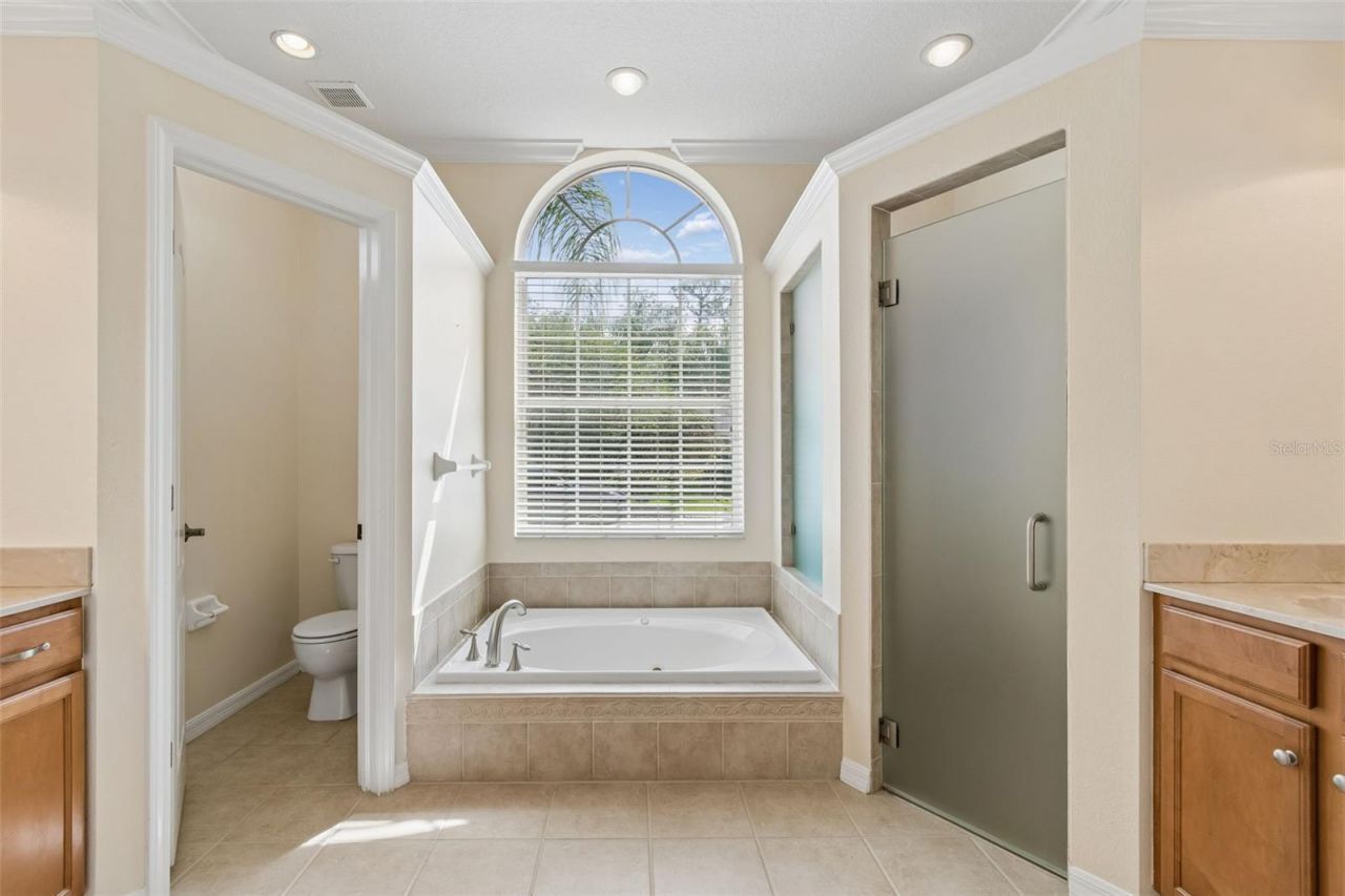 2731 Blue Springs Place, Wesley Chapel, FL 33544 Photo