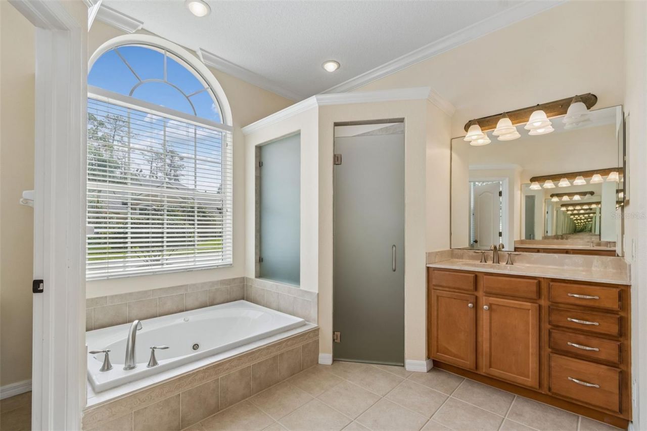 2731 Blue Springs Place, Wesley Chapel, FL 33544 Photo