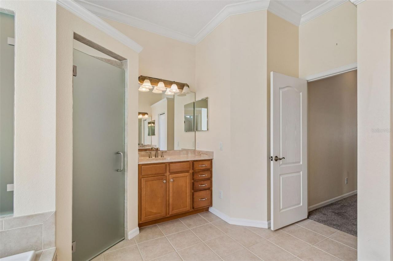 2731 Blue Springs Place, Wesley Chapel, FL 33544 Photo