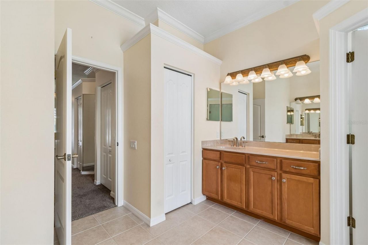 2731 Blue Springs Place, Wesley Chapel, FL 33544 Photo