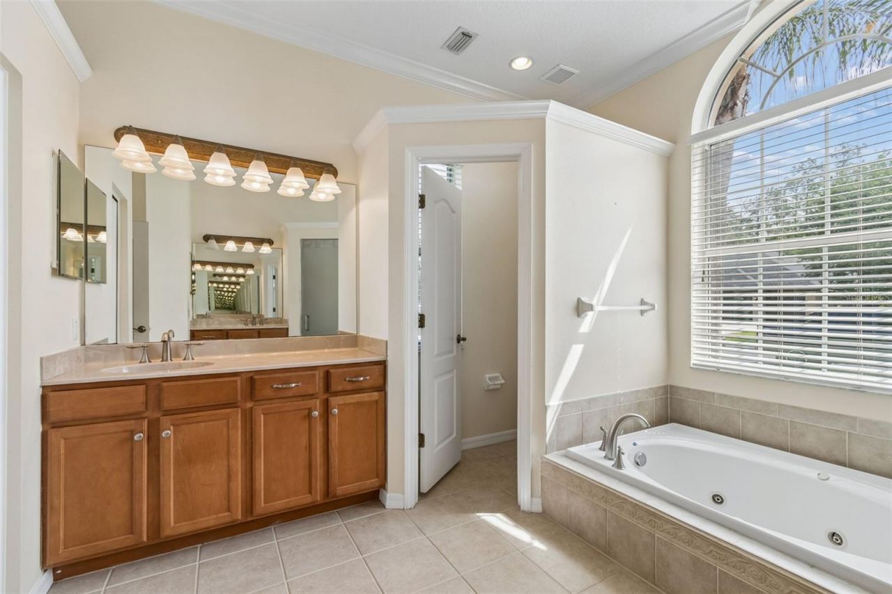 2731 Blue Springs Place, Wesley Chapel, FL 33544 Photo