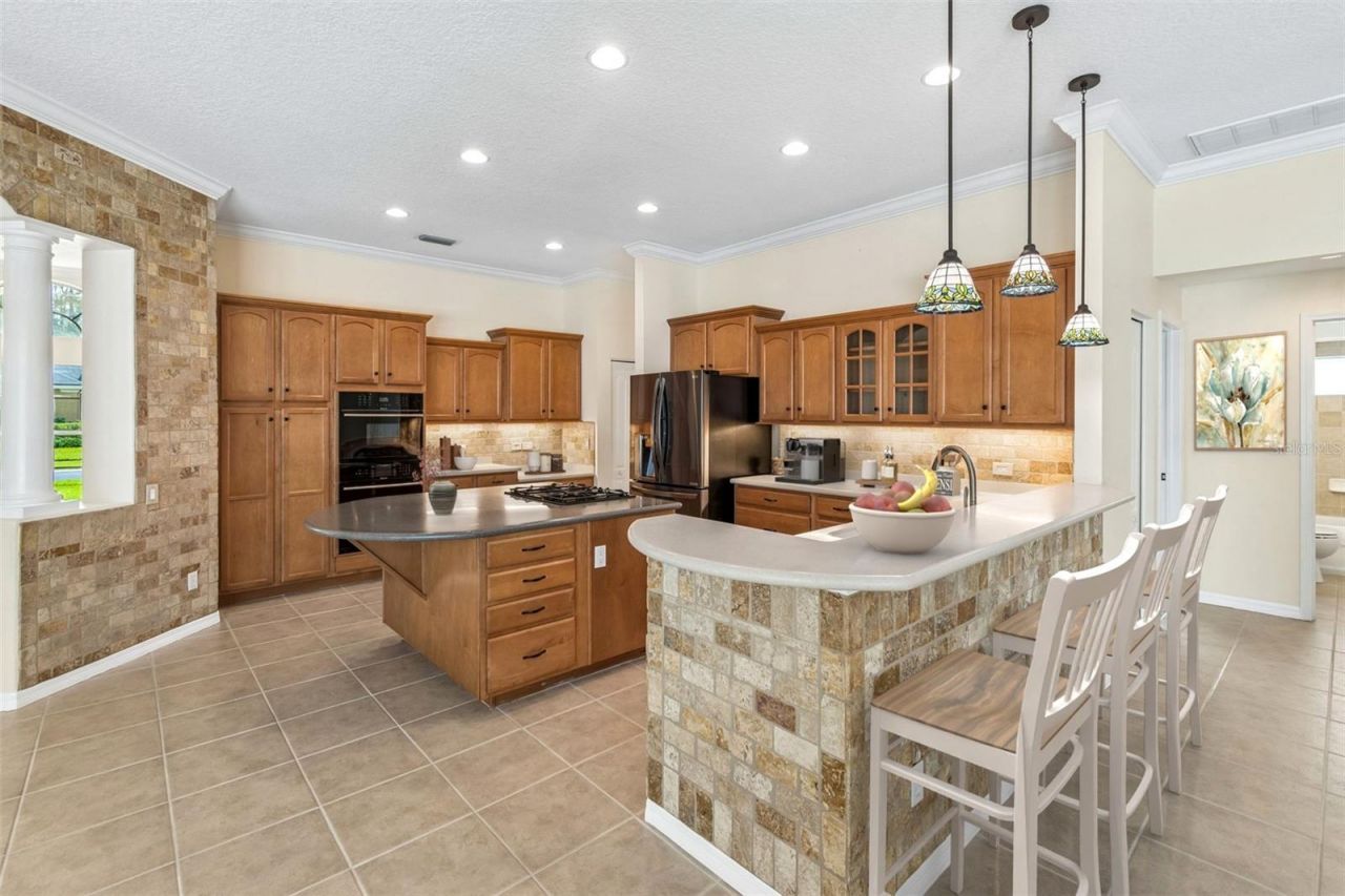 2731 Blue Springs Place, Wesley Chapel, FL 33544 Photo