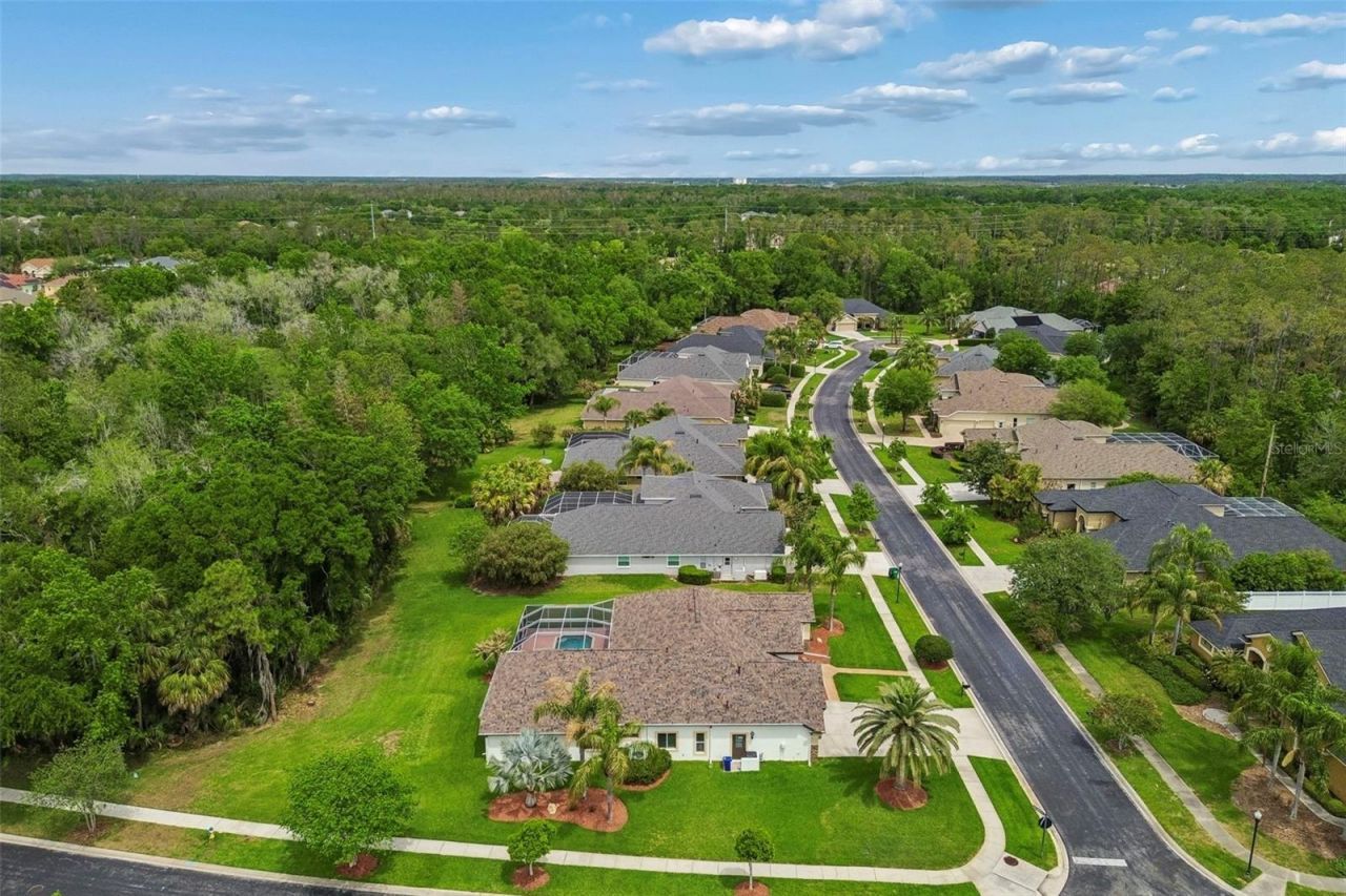 2731 Blue Springs Place, Wesley Chapel, FL 33544 Photo