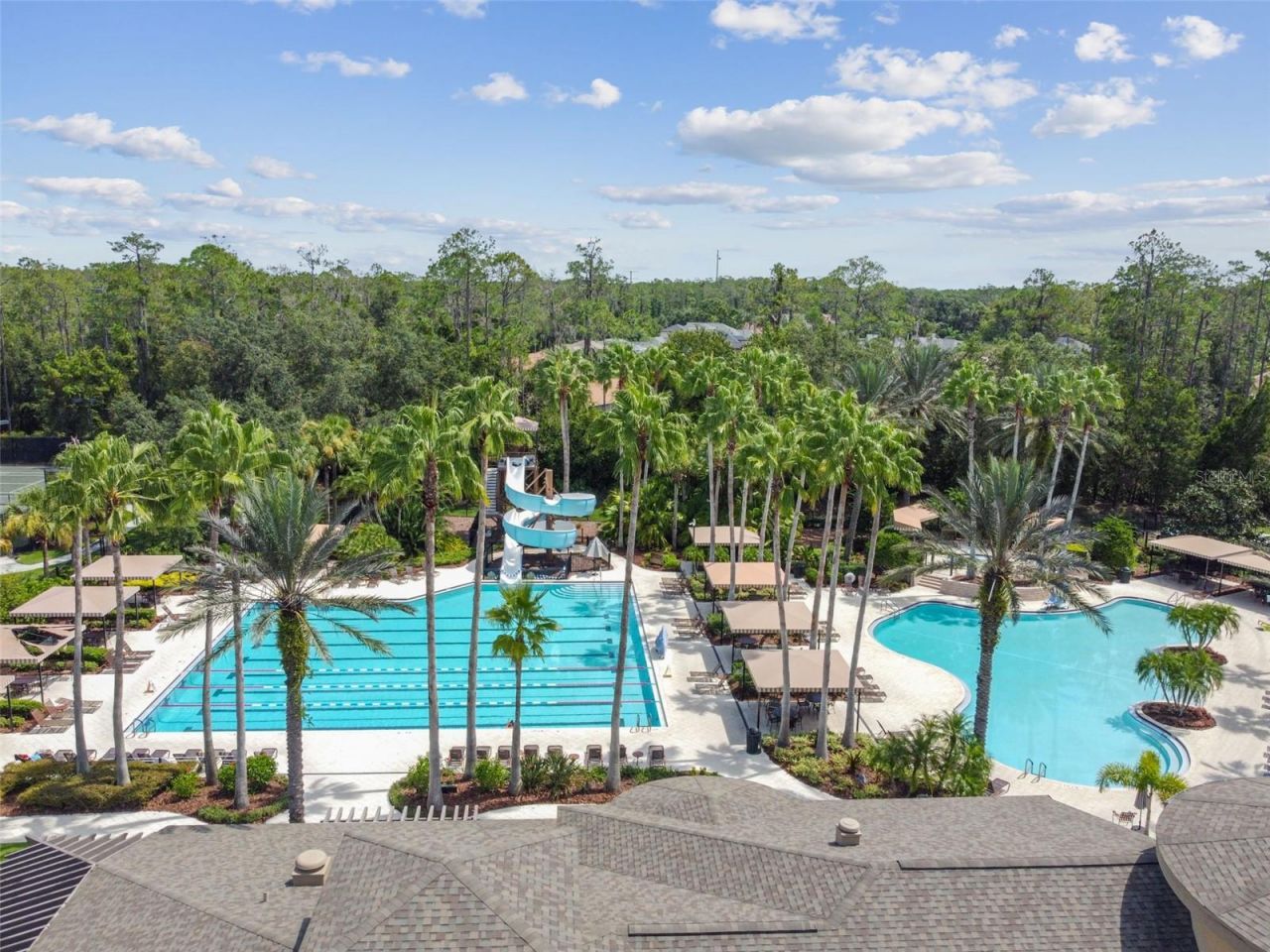 2731 Blue Springs Place, Wesley Chapel, FL 33544 Photo