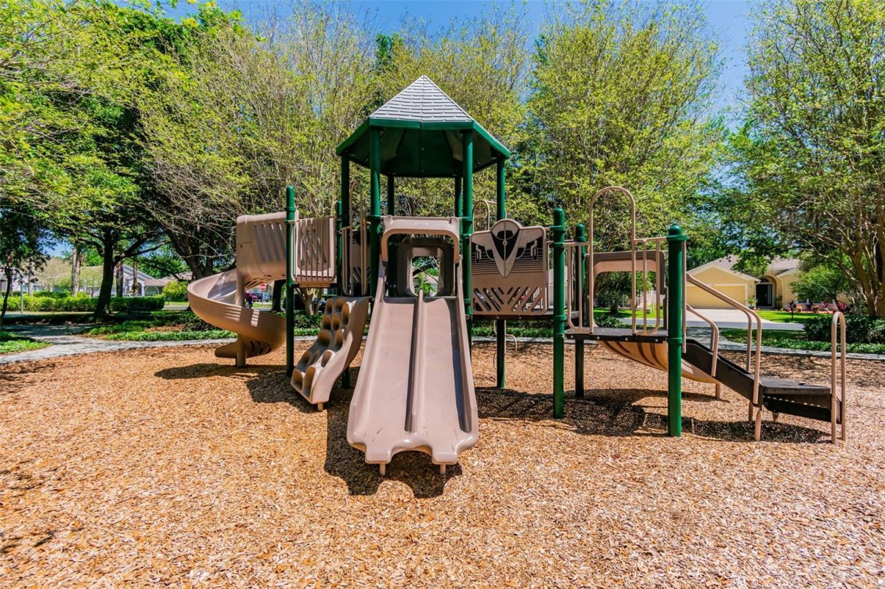 2731 Blue Springs Place, Wesley Chapel, FL 33544 Photo