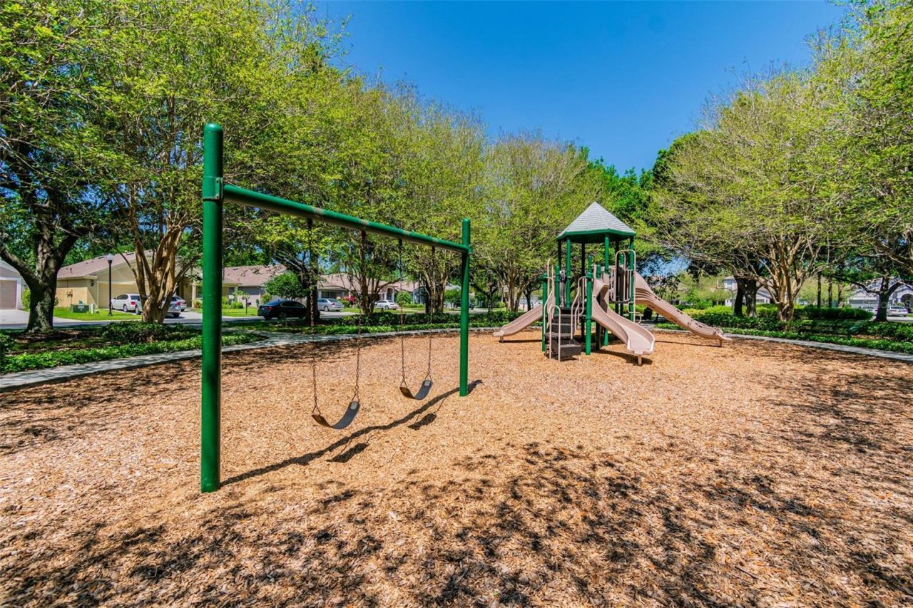 2731 Blue Springs Place, Wesley Chapel, FL 33544 Photo