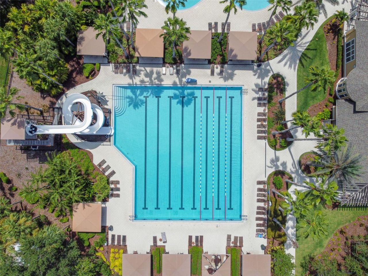 2731 Blue Springs Place, Wesley Chapel, FL 33544 Photo