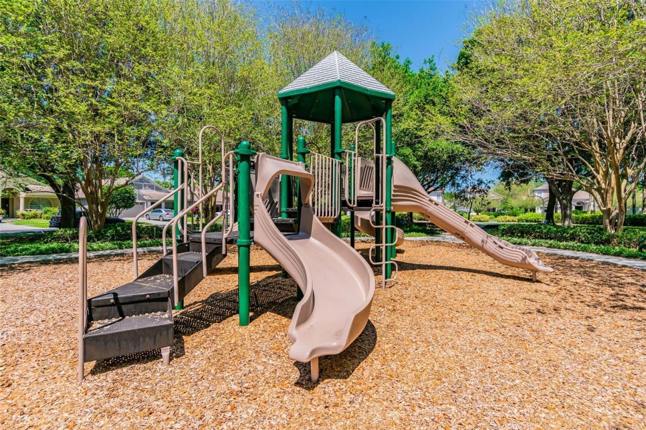 2731 Blue Springs Place, Wesley Chapel, FL 33544 Photo