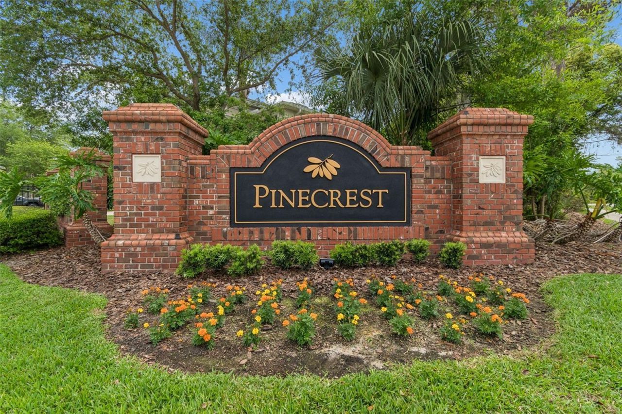 2731 Blue Springs Place, Wesley Chapel, FL 33544 Photo