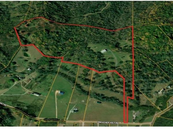 1818 Preacher Holt Rd, Mount Pleasant, TN 38474