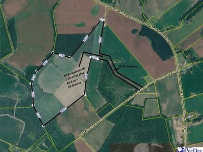 TBD 52.8 acres off Union School Rd, Coward, SC 29530