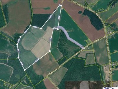 TBD 50.5 acres off Union School Rd, Coward, SC 29530