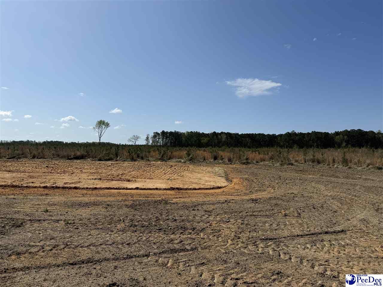 1507 Patty Road Photo 4