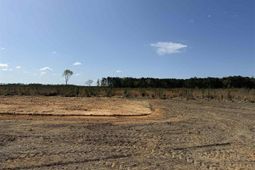 1507 Patty Road photo 4