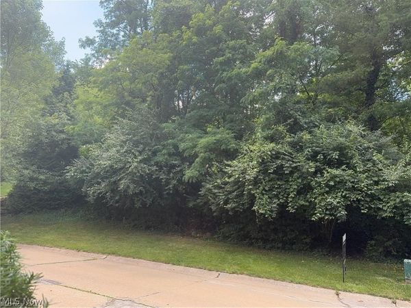 Belleau Wood Drive , Akron, OH 44303