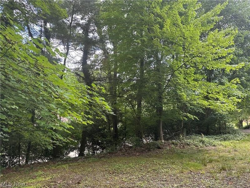 Belleau Wood Drive , Akron, OH 44303 Photo 10