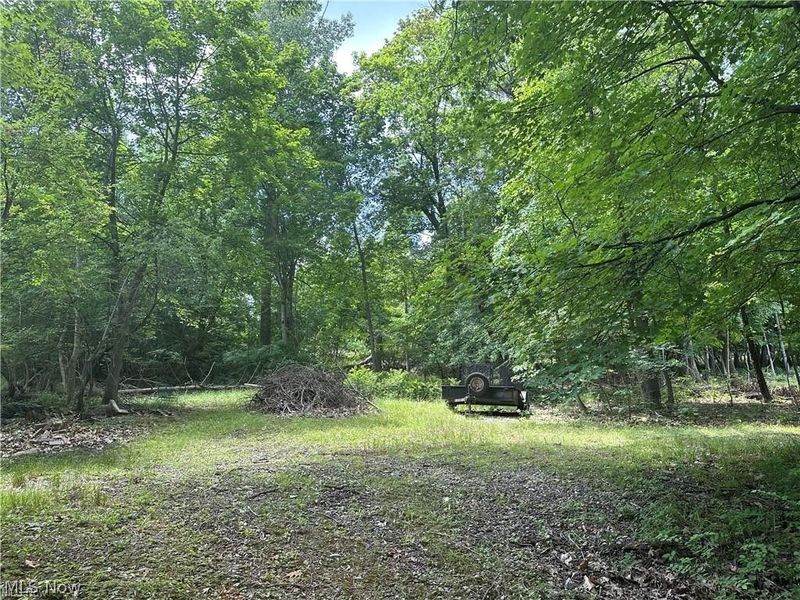 Belleau Wood Drive , Akron, OH 44303 Photo 2