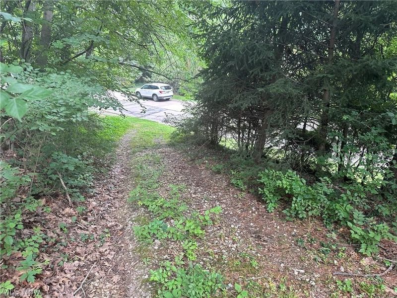 Belleau Wood Drive , Akron, OH 44303 Photo 3