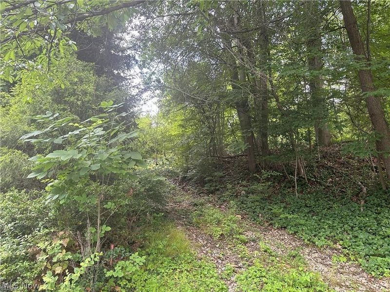 Belleau Wood Drive , Akron, OH 44303 Photo 4