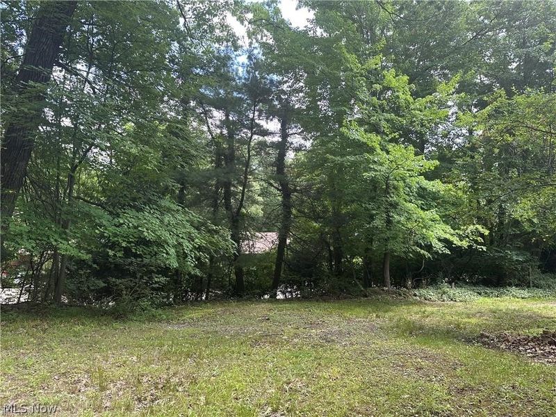 Belleau Wood Drive , Akron, OH 44303 Photo 5